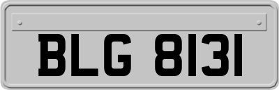 BLG8131