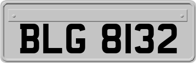 BLG8132