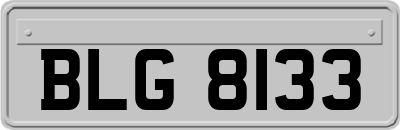 BLG8133