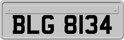 BLG8134