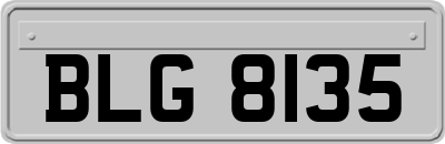 BLG8135