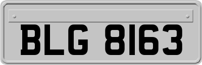 BLG8163