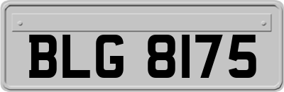 BLG8175