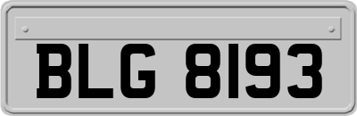 BLG8193