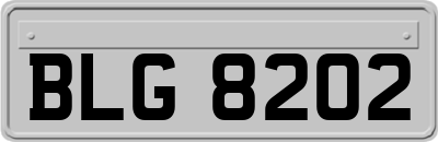 BLG8202