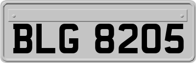 BLG8205