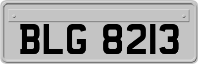 BLG8213
