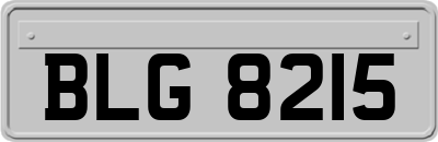 BLG8215