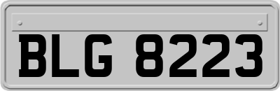 BLG8223
