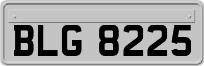 BLG8225