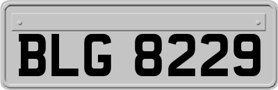 BLG8229