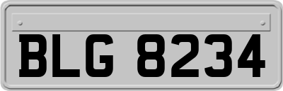 BLG8234