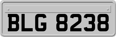 BLG8238