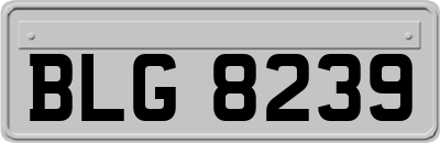 BLG8239