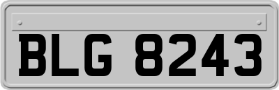 BLG8243