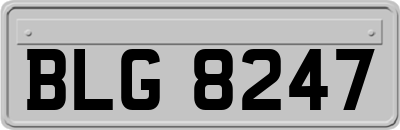 BLG8247