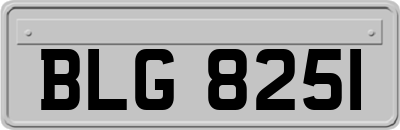 BLG8251