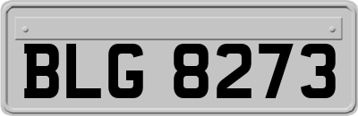 BLG8273