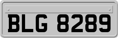 BLG8289