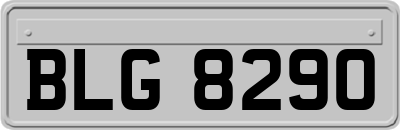 BLG8290