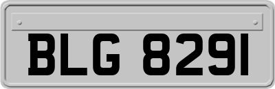 BLG8291