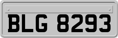 BLG8293