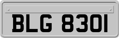 BLG8301