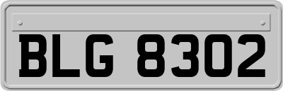 BLG8302