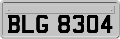 BLG8304