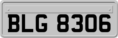 BLG8306
