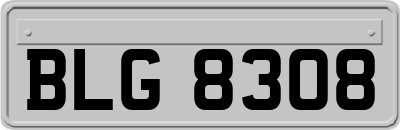BLG8308