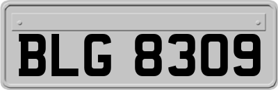 BLG8309