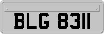 BLG8311