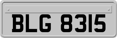 BLG8315