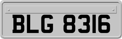 BLG8316