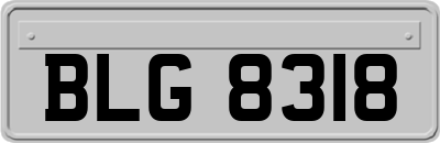 BLG8318