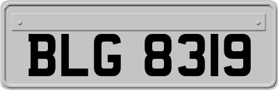 BLG8319