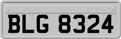 BLG8324