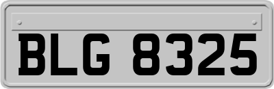 BLG8325
