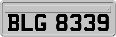 BLG8339