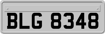 BLG8348