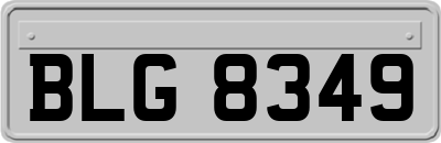 BLG8349