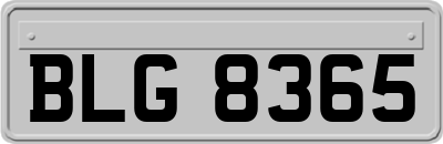 BLG8365