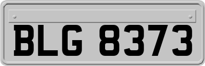 BLG8373