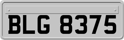 BLG8375