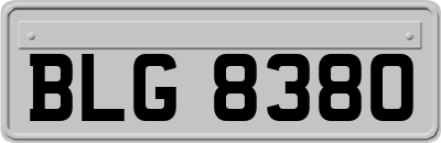 BLG8380