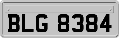 BLG8384