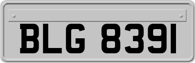 BLG8391