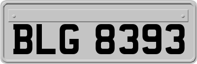 BLG8393