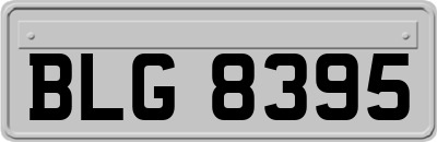 BLG8395
